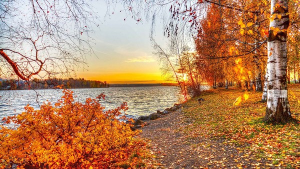 automne,autumn,paysage,