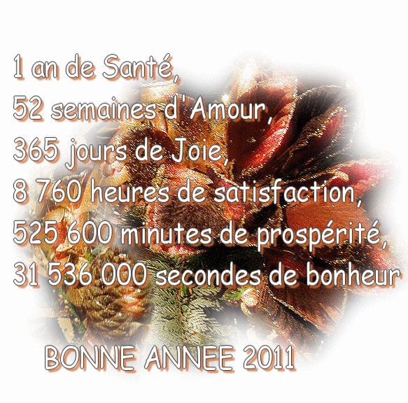 BONNE ANNEE