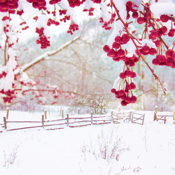 hiver,snow,paysage,winter,wallpapers,fond d ecran