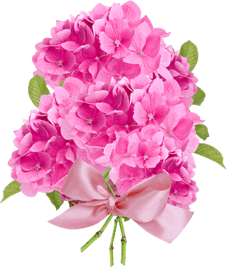 tubes fleurs,png fleurs,bouquets de fleurs,flowers,psp