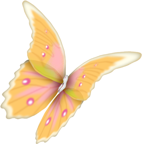 Papillons,png,butterfly,tubes,BORBOLETA,MARIPOSA,