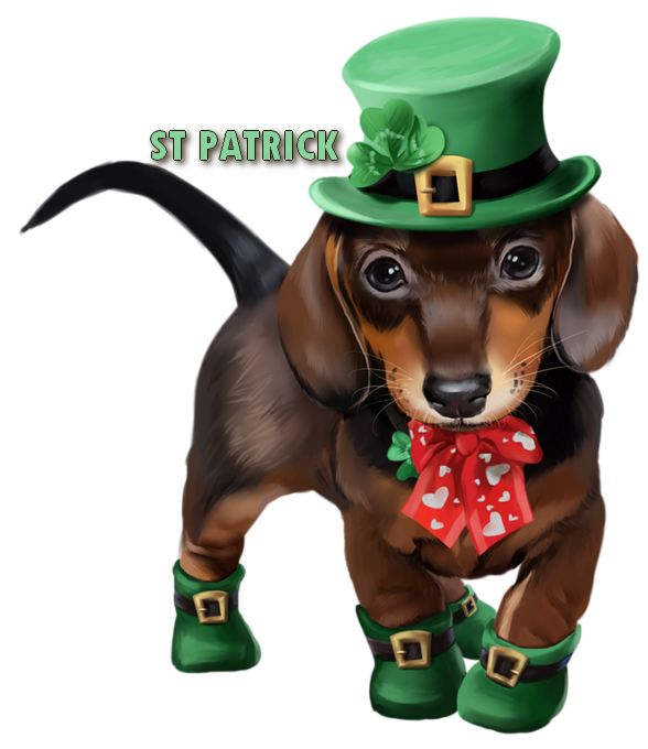 saint patrick,tubes,vecteurs,cliparts,psp,png,