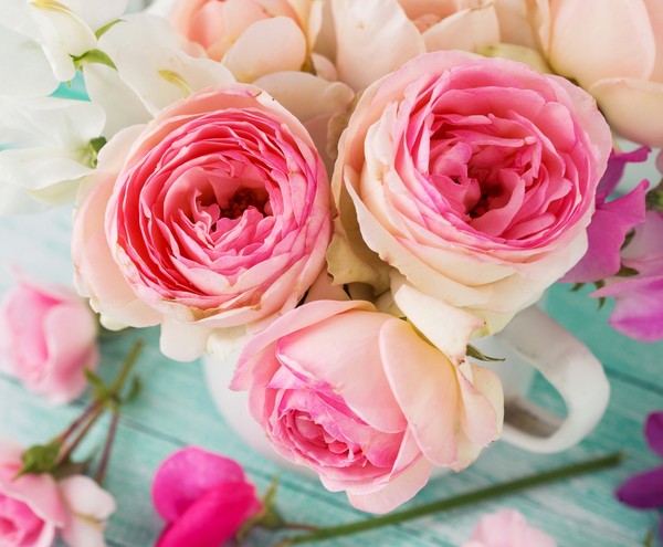 roses,pink,roze,rosa,