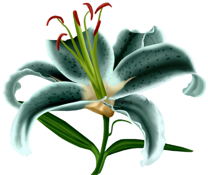 tubes fleurs,png fleurs,bouquets de fleurs,flowers,psp