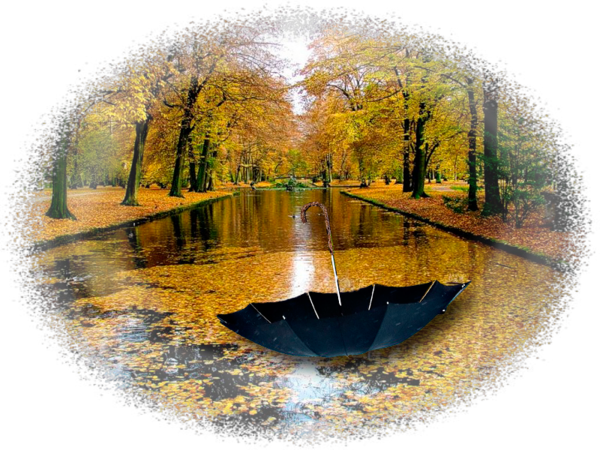 automnes,autumn,outono