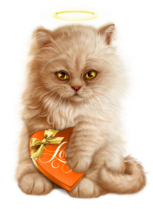 chatons chats minou matou felin tube dessin png zezete2 centerblog