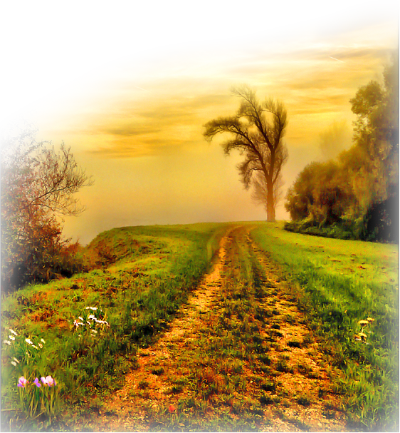 automne,autumn,paysage,