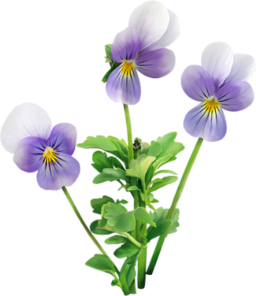 tubes fleurs,png fleurs,bouquets de fleurs,flowers,psp