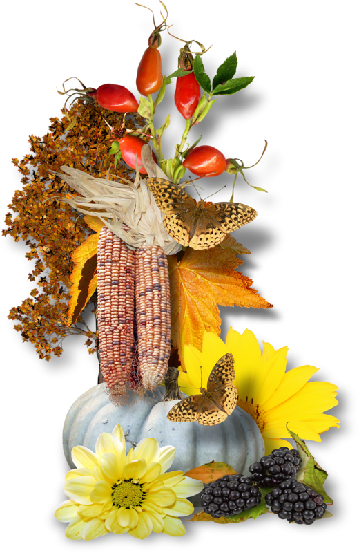 automne,autumn,paysage,