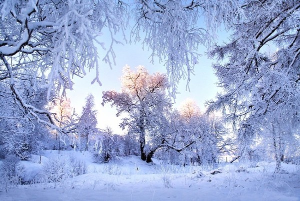 hiver,snow,paysage,winter,wallpapers,fond d ecran