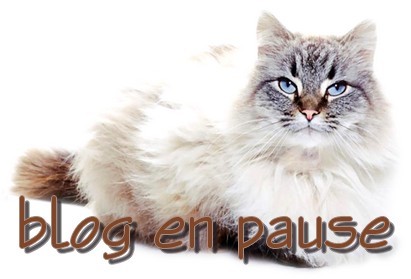 blog en pause