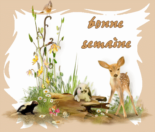 Preum's du jour - Page 19 8f1ede74