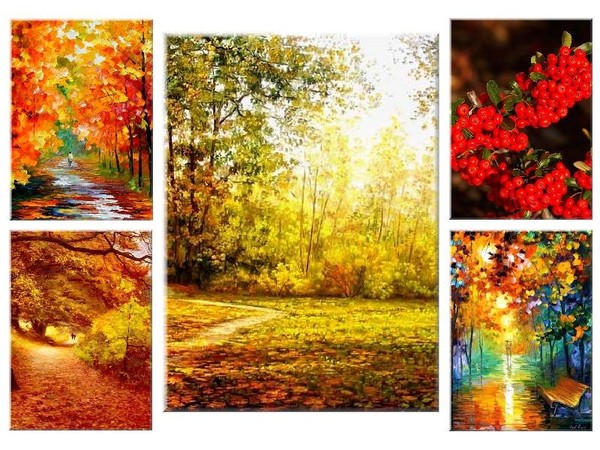 automnes,autumn,outono