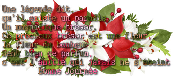 amitie,citations