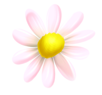  tubes fleurs,png fleurs,bouquets de fleurs,flowers,psp
