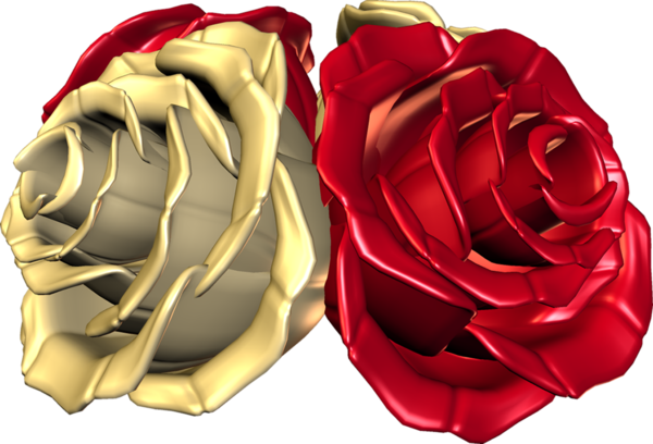  roses,pink,roze,rosa,