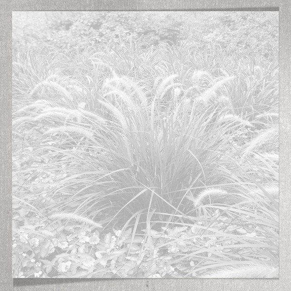 textures pour creas, papers, papiers,