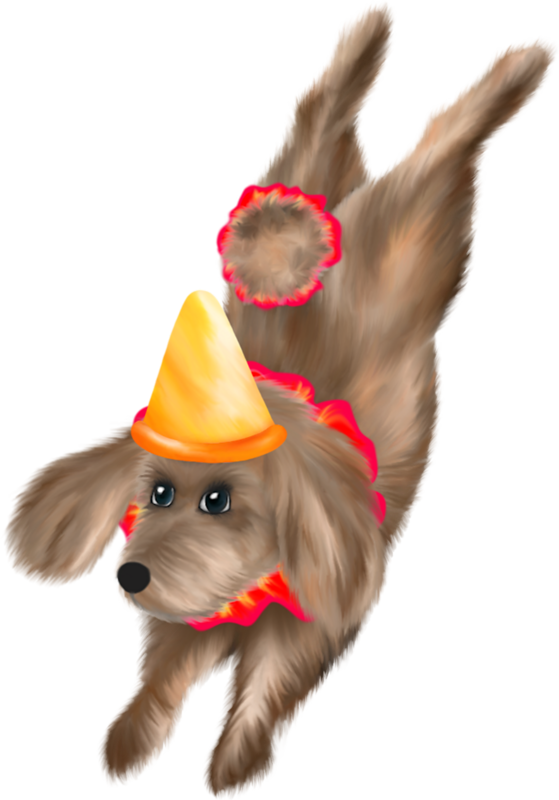 chiens,dog,puppies,wallpapers