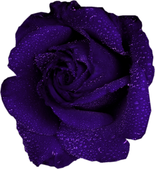 Go-F-Designs-Mathilda-Elements-2