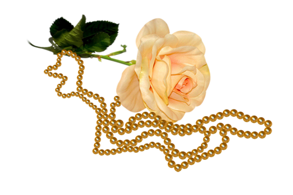 roses,pink,roze,rosa,