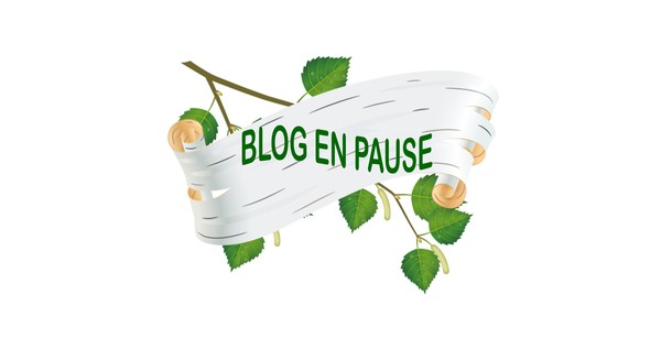 blog en pause
