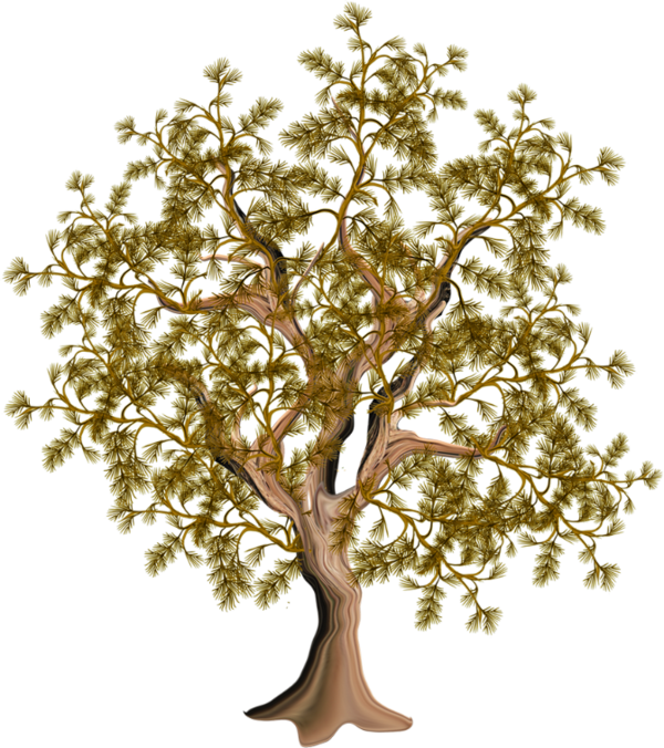 arbre arbuste bois foret vegetal tubes dessin png zezete2 centerblog