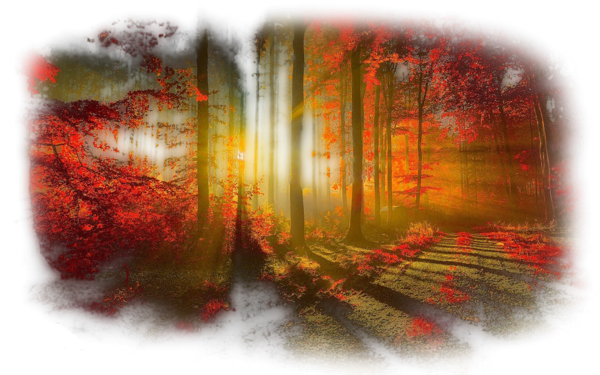 automne,autumn,paysage,
