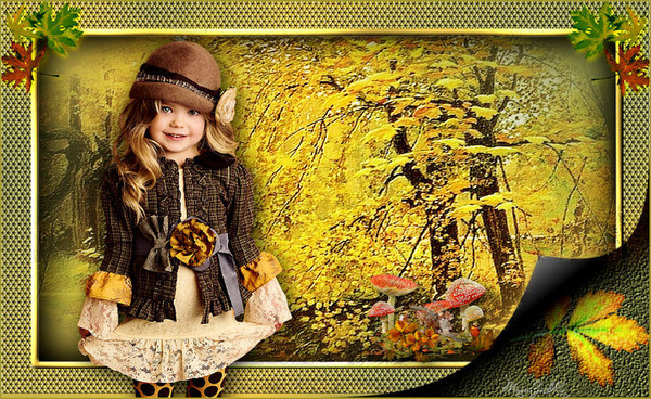 automne,autumn,paysage,