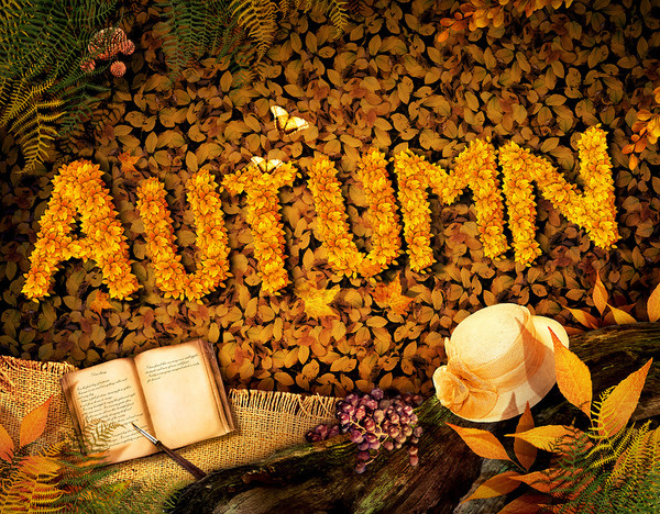 automne,paysage,fall,autumn