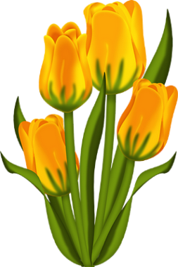 tubes fleurs,png fleurs,bouquets de fleurs,flowers,psp