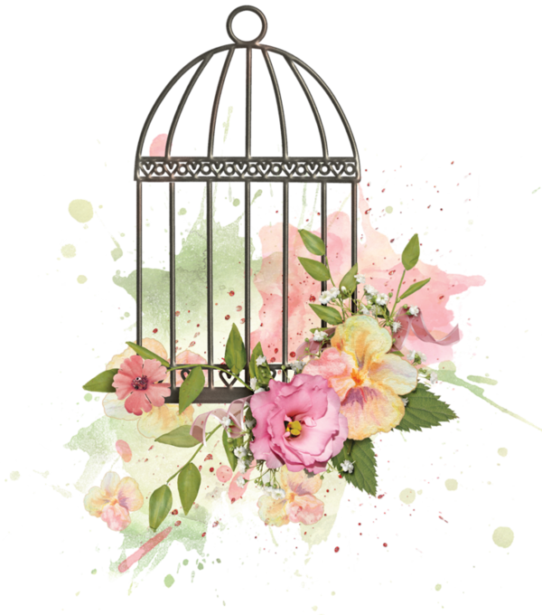 cages,png