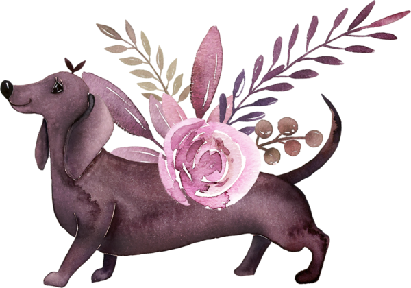 chiens,dog,puppies,wallpapers