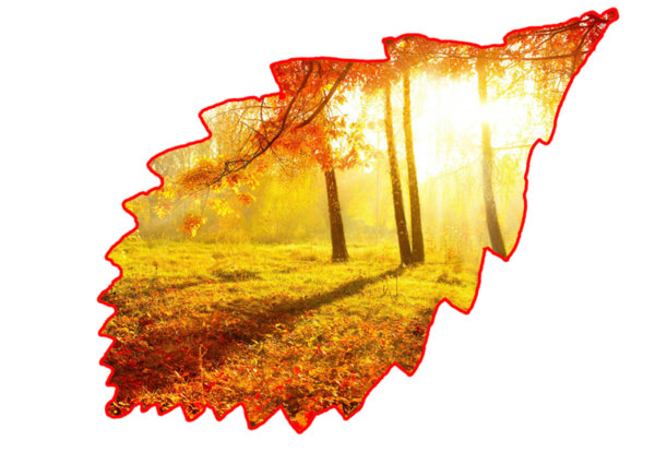 automne,paysage,fall,autumn