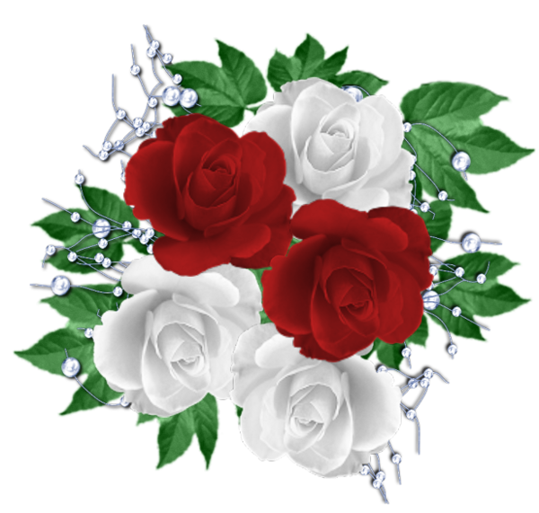 roses,pink,roze,rosa,