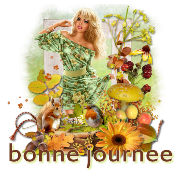 bonne journee