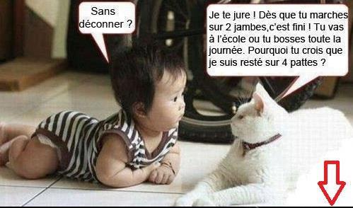 humour,insolite,drole,ou pas droles!