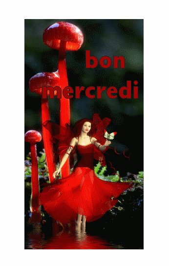 BON MERCREDI