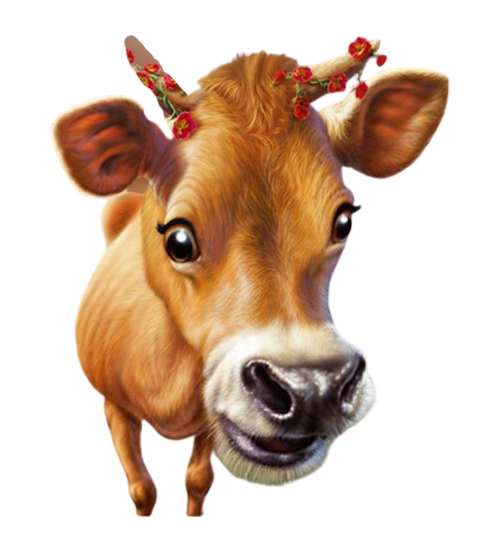 image clipart vache gratuitous