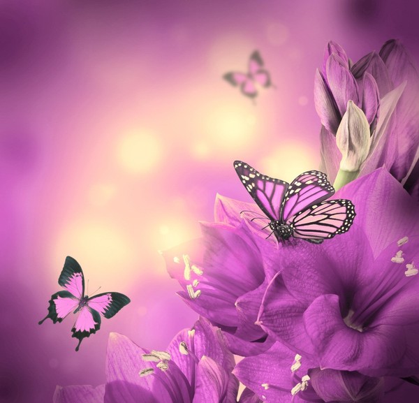 My Image 35