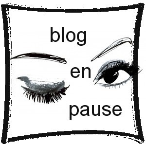 blog en pause