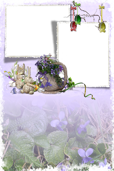 cadres,frame,rahmen,quadro,png