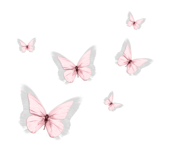butterfly transparent pumps