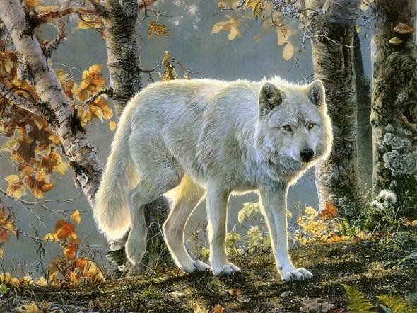 loups