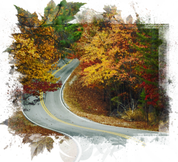 automne,autumn,paysage,