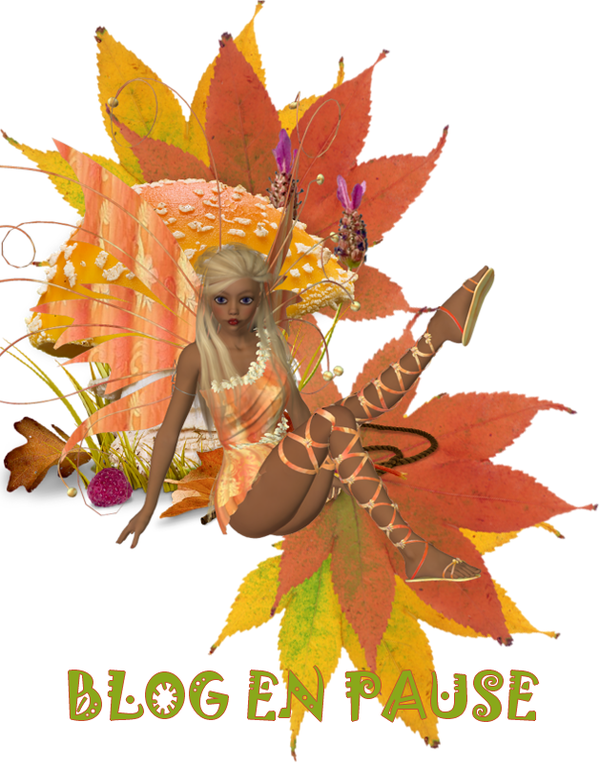 blog en pause