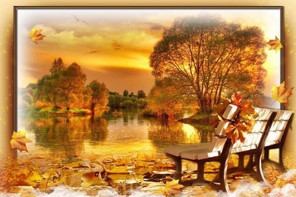 automne,paysage,fall,autumn