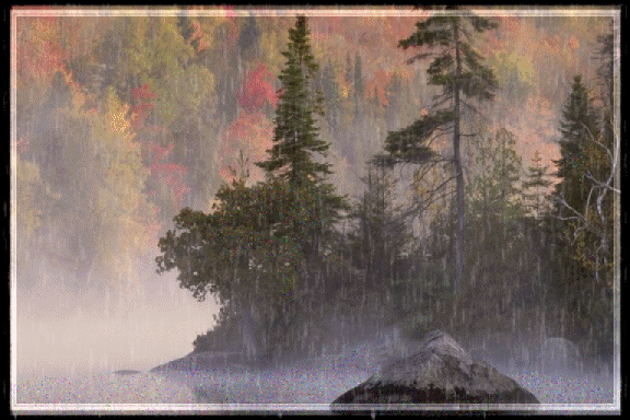 automnes,autumn,outono