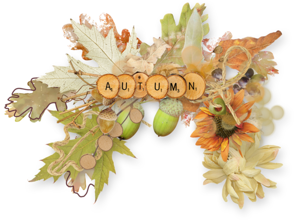 automne,autumn,paysage,