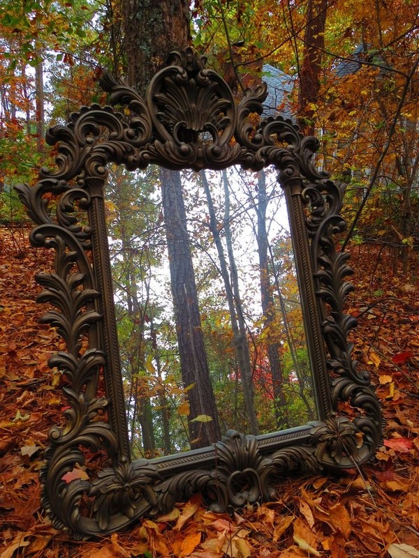 automne,autumn,paysage,