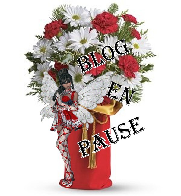 blog en pause